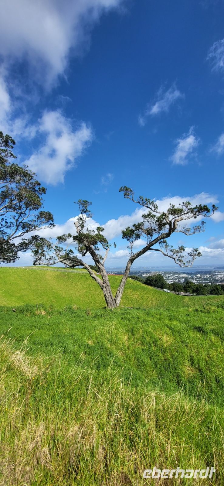 59 Mount Eden &ndash; &copy; Susanne Schirmann (Eberhardt TRAVEL)