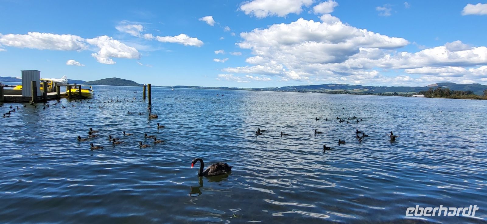 114 Lake Rotorua &ndash; &copy; Susanne Schirmann (Eberhardt TRAVEL)