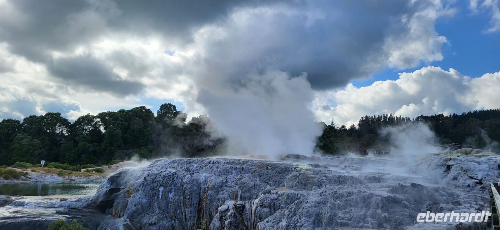 132 Gysiere in Te Puia &ndash; &copy; Susanne Schirmann (Eberhardt TRAVEL)