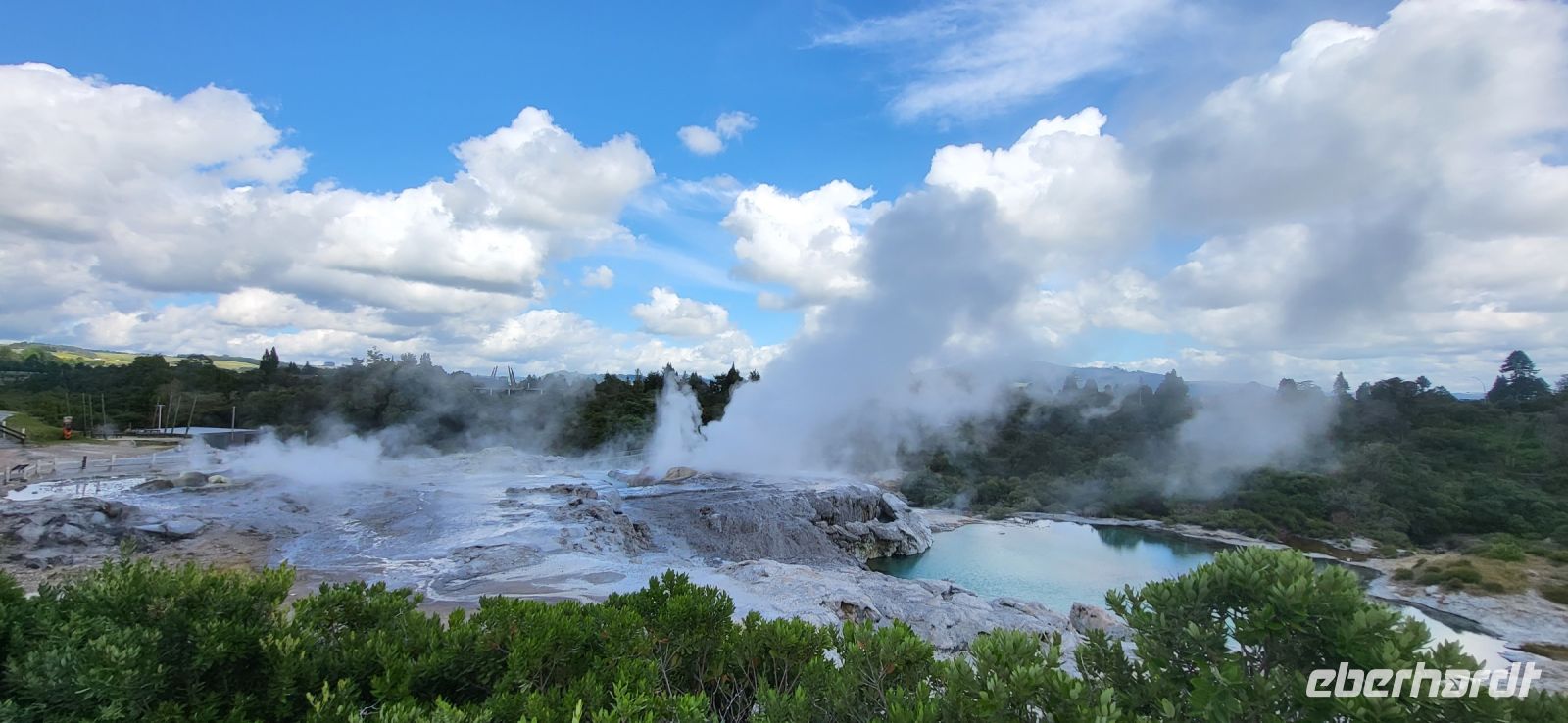 133 Gysiere in Te Puia &ndash; &copy; Susanne Schirmann (Eberhardt TRAVEL)
