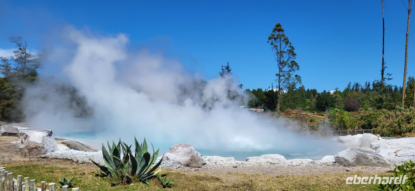 144 Wairakei &ndash; &copy; Susanne Schirmann (Eberhardt TRAVEL)