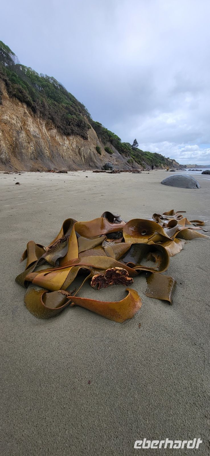 217 Strand Moeraki Boulders &ndash; &copy; Susanne Schirmann (Eberhardt TRAVEL)