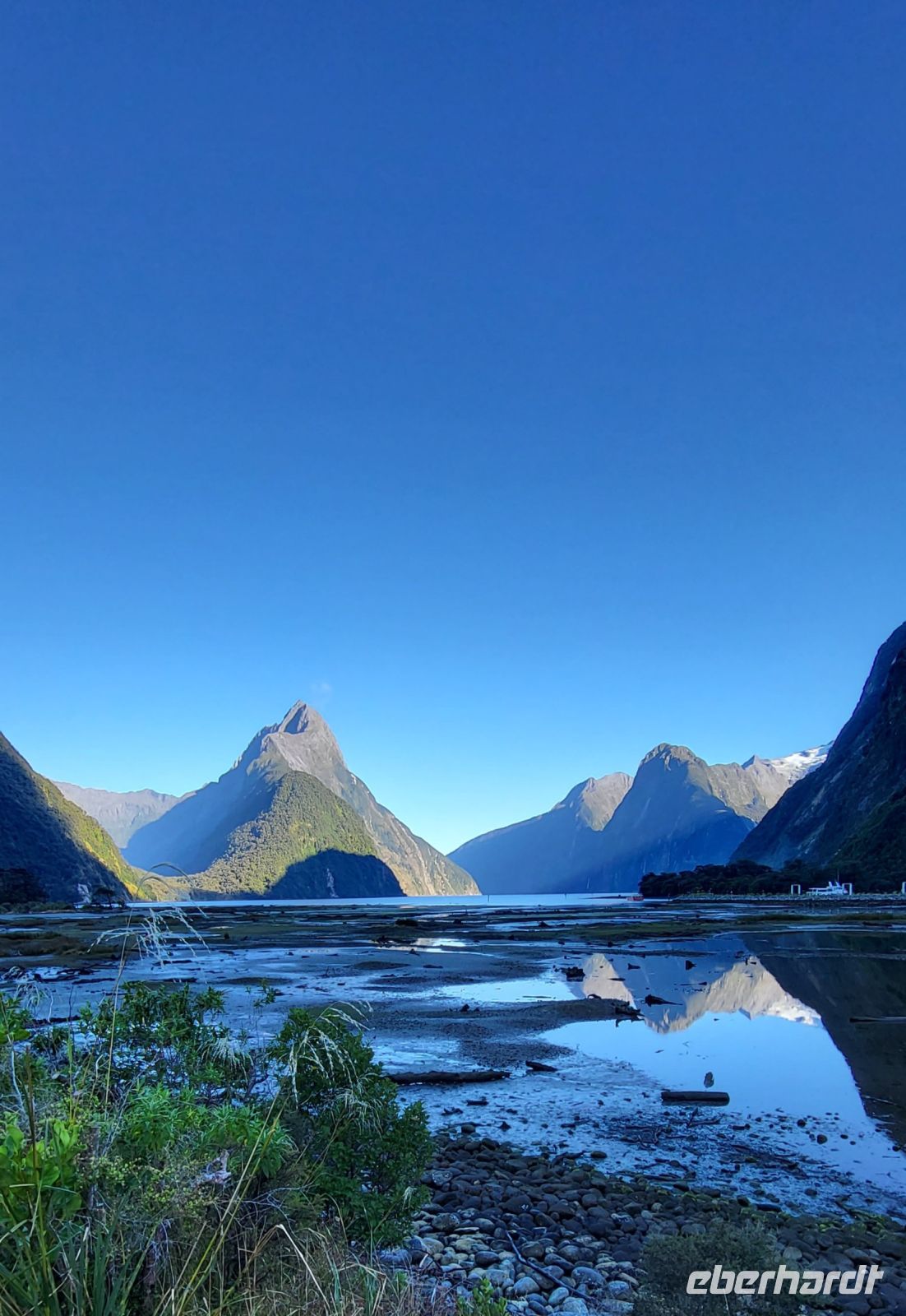 272 Bischofsmütze am Milford Sound &ndash; &copy; Susanne Schirmann (Eberhardt TRAVEL)