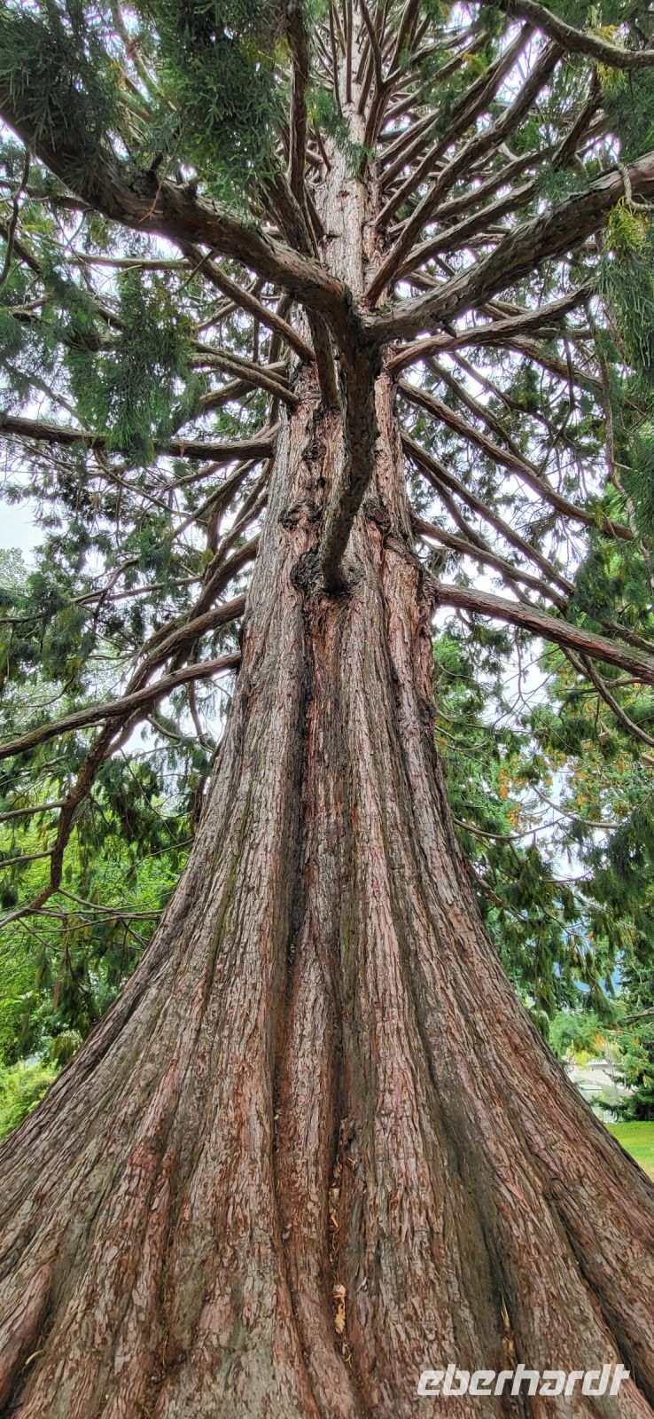 287 Botanischer Garten Queenstown &ndash; &copy; Susanne Schirmann (Eberhardt TRAVEL)
