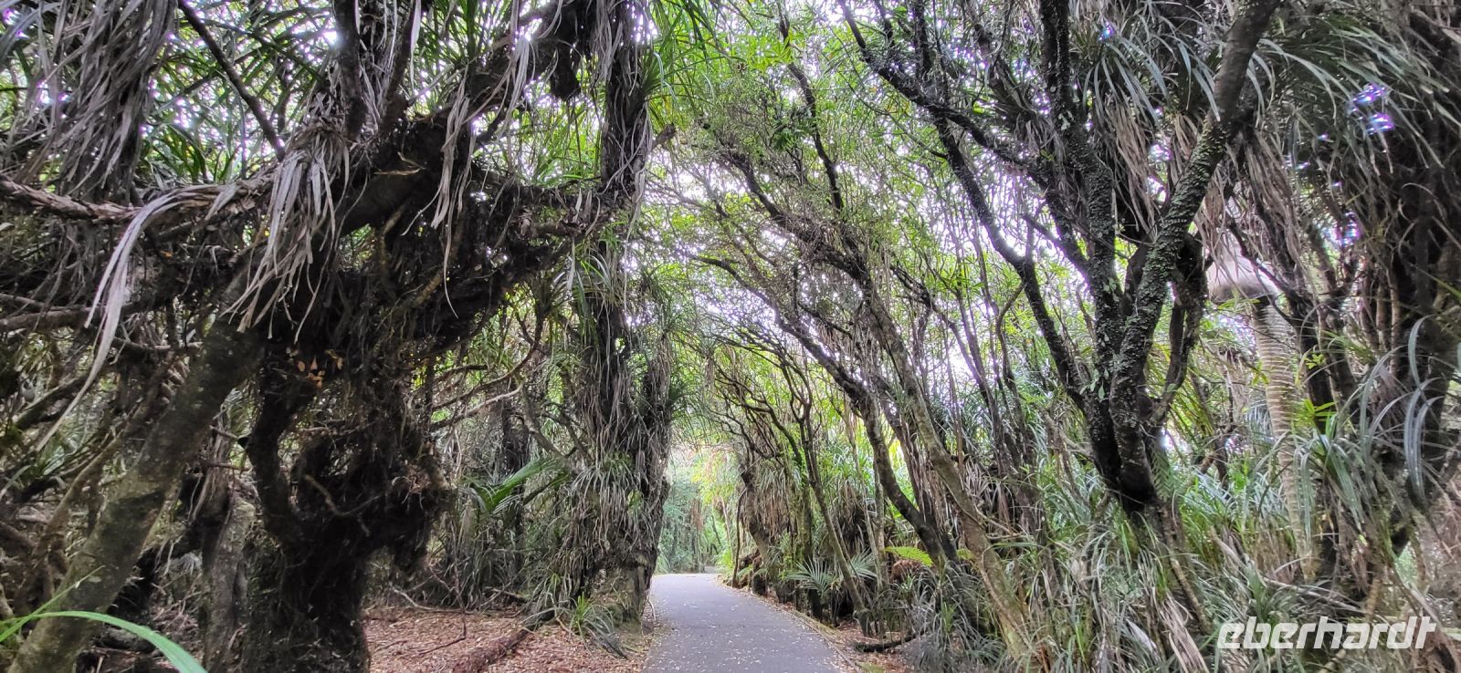 366 Truman Track &ndash; &copy; Susanne Schirmann (Eberhardt TRAVEL)
