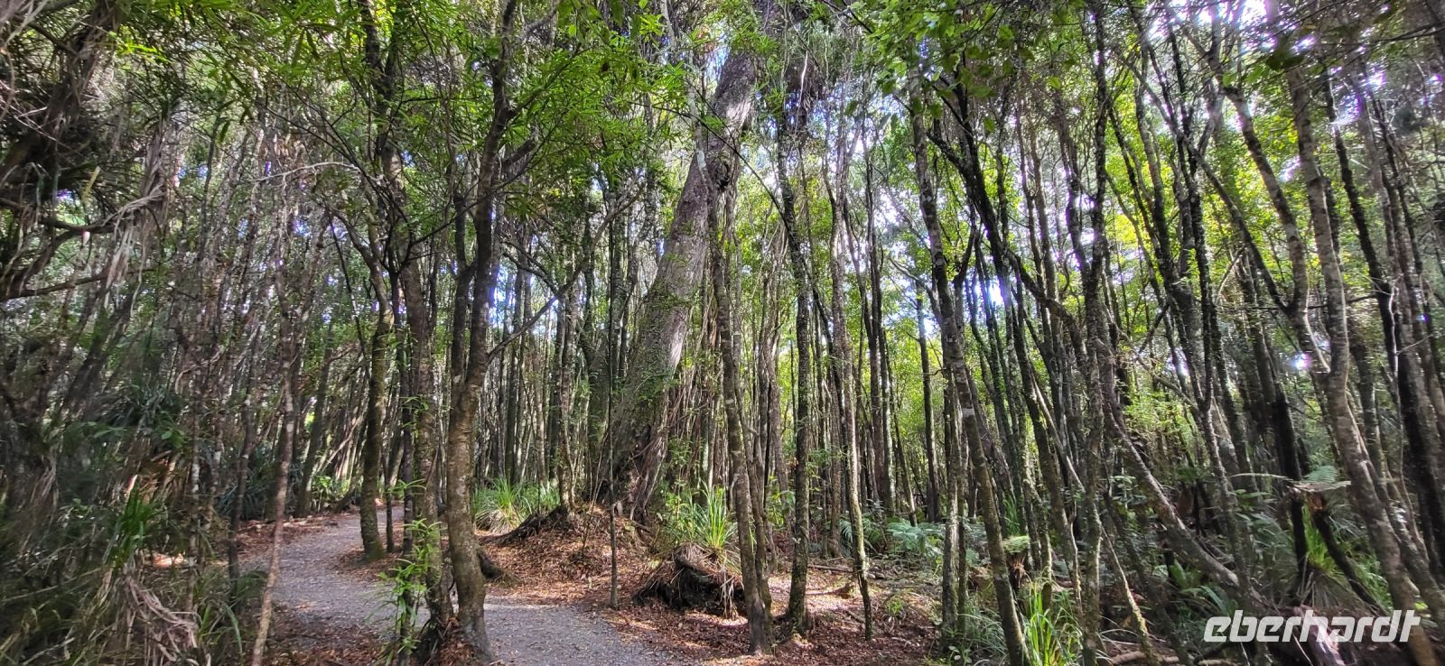 367 Truman Track &ndash; &copy; Susanne Schirmann (Eberhardt TRAVEL)