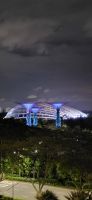 10 Supertrees &ndash; &copy; Susanne Schirmann (Eberhardt TRAVEL)