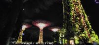 17 supertrees &ndash; &copy; Susanne Schirmann (Eberhardt TRAVEL)