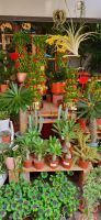 33 Chinatown &ndash; &copy; Susanne Schirmann (Eberhardt TRAVEL)