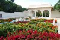 67 Hamilton Gardens &ndash; &copy; Susanne Schirmann (Eberhardt TRAVEL)