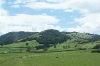 70 Coromandel Halbinsel &ndash; &copy; Susanne Schirmann (Eberhardt TRAVEL)