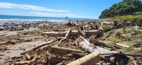 71 Hot Water Beach &ndash; &copy; Susanne Schirmann (Eberhardt TRAVEL)