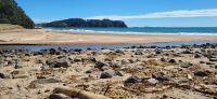 73Hot Water Beach &ndash; &copy; Susanne Schirmann (Eberhardt TRAVEL)