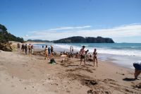78 Hot Water Beach