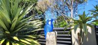 84 Kunst am Hot Water Beach &ndash; &copy; Susanne Schirmann (Eberhardt TRAVEL)