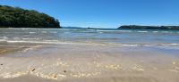 89 Cook Beach &ndash; &copy; Susanne Schirmann (Eberhardt TRAVEL)