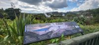 129 Gysiere in Te Puia (2) &ndash; &copy; Susanne Schirmann (Eberhardt TRAVEL)