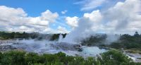 133 Gysiere in Te Puia &ndash; &copy; Susanne Schirmann (Eberhardt TRAVEL)