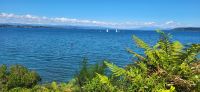140 Lake Taupo &ndash; &copy; Susanne Schirmann (Eberhardt TRAVEL)