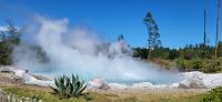 144 Wairakei &ndash; &copy; Susanne Schirmann (Eberhardt TRAVEL)