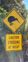 148 Kiwis Crossing &ndash; &copy; Susanne Schirmann (Eberhardt TRAVEL)