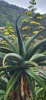 169 Botanischer Garten Wellington &ndash; &copy; Susanne Schirmann (Eberhardt TRAVEL)