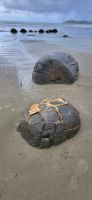 216 Strand Moeraki Boulders &ndash; &copy; Susanne Schirmann (Eberhardt TRAVEL)