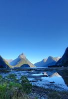 272 Bischofsmütze am Milford Sound &ndash; &copy; Susanne Schirmann (Eberhardt TRAVEL)