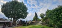 302 Arrowtown &ndash; &copy; Susanne Schirmann (Eberhardt TRAVEL)