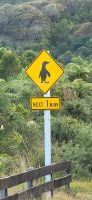 357 Achtung Pinguine &ndash; &copy; Susanne Schirmann (Eberhardt TRAVEL)