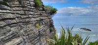 364 Pancake Rocks &ndash; &copy; Susanne Schirmann (Eberhardt TRAVEL)