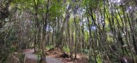 367 Truman Track &ndash; &copy; Susanne Schirmann (Eberhardt TRAVEL)