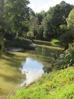 der Puhoi River &ndash; &copy; Heike Heinen (Eberhardt TRAVEL)