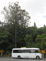 2 Kauris und unser Bus &ndash; &copy; Heike Heinen (Eberhardt TRAVEL)