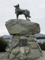 Hirtenhund Denkmal in Tekapo &ndash; &copy; Heike Heinen (Eberhardt TRAVEL)