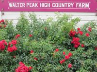 Besuch der Farm &ndash; &copy; Heike Heinen (Eberhardt TRAVEL)