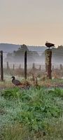 Morgenstimmung &ndash; &copy; Heike Heinen (Eberhardt TRAVEL)