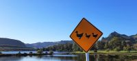 Neuseeland Nordinsel - on the road &ndash; &copy; Annett Müller (Eberhardt TRAVEL)