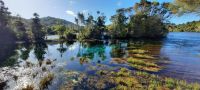 Neuseeland Südinsel - Waikoropupu Springs  &ndash; &copy; Annett Müller (Eberhardt TRAVEL)