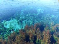 Neuseeland Südinsel - Waikoropupu Springs  &ndash; &copy; Annett Müller (Eberhardt TRAVEL)