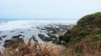 Neuseeland Südinsel - Fahrt entlang der Pazifik Küste &ndash; &copy; Annett Müller (Eberhardt TRAVEL)