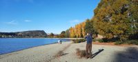 Neuseeland Südinsel - Lake Wanaka