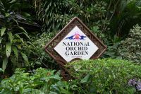 Tag 3 - Singapur - Orchideen Garten (1) &ndash; &copy; Franziska Barthel (Eberhardt TRAVEL)