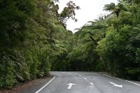 Tag 5 - Neuseeland - Waipoua Forest (7) &ndash; &copy; Franziska Barthel (Eberhardt TRAVEL)