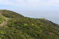 Tag 6 - Neuseeland - Northland - Cape Reinga (1) &ndash; &copy; Franziska Barthel (Eberhardt TRAVEL)