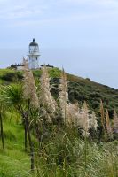 Tag 6 - Neuseeland - Northland - Cape Reinga (6) &ndash; &copy; Franziska Barthel (Eberhardt TRAVEL)