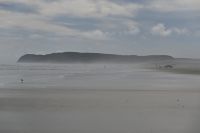 Tag 6 - Neuseeland - Northland - Ninety Miles Beach (3) &ndash; &copy; Franziska Barthel (Eberhardt TRAVEL)