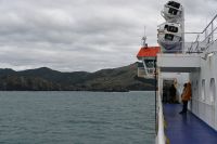 Tag 12 - Neuseeland - Fährüberfahrt auf die Südinsel (5) &ndash; &copy; Franziska Barthel (Eberhardt TRAVEL)