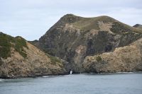 Tag 12 - Neuseeland - Fährüberfahrt auf die Südinsel (9) &ndash; &copy; Franziska Barthel (Eberhardt TRAVEL)