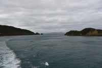 Tag 12 - Neuseeland - Fährüberfahrt auf die Südinsel (10) &ndash; &copy; Franziska Barthel (Eberhardt TRAVEL)
